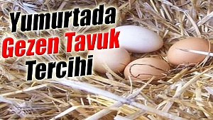 Yumurtada "Gezen Tavuk" Tercihi