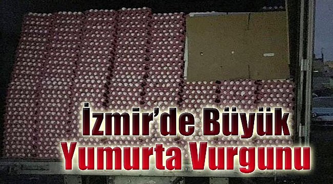 Çalıntı 327 bin yumurta boş arazide bulundu