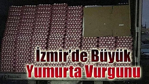 Çalıntı 327 bin yumurta boş arazide bulundu