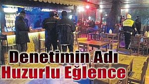 Denetimin amacı huzurlu eğlence