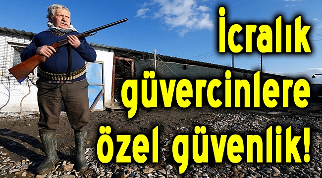 İCralık güvercinlere özel koruma!