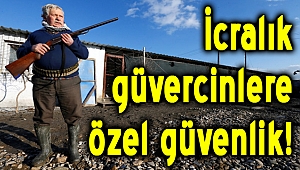 İCralık güvercinlere özel koruma!