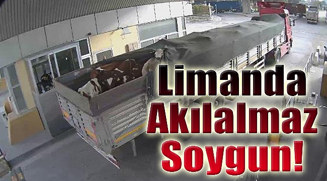 İzmir Limanı'ndan akılalmaz soygun!