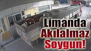 İzmir Limanı'ndan akılalmaz soygun!