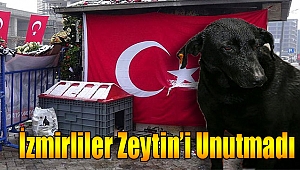 İzmirliler 'Zeytin'i unutmadı