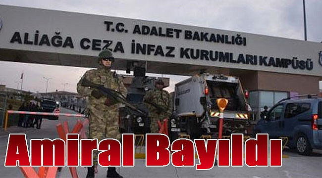 Amiral bayıldı