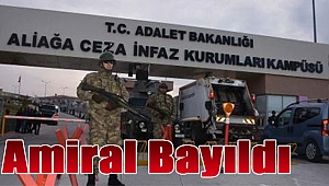 Amiral bayıldı