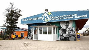 Buca Belediyesi 600 can dostuna kucak açtı