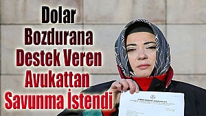 Dolar bozdurana destek veren avukattan savunma istendi