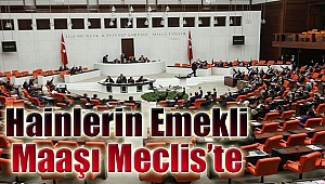 Hainlerin emekli maaşı meclis'te