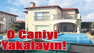 ‘O caniyi yakalayın’