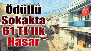 Ödüllü sokakta 61 bin TL’lik hasar!