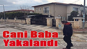 Villa katili yakalandı