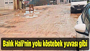 Balık Hali’nin yolu köstebek yuvası gibi