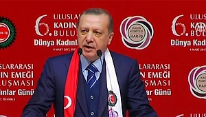 Erdoğan: Hani bu işlerden rahatsız olmuyordunuz