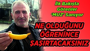 Gören ilk bakışta muz sanıyor