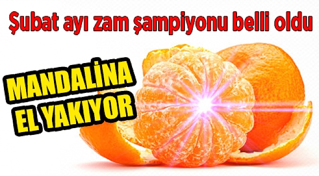 İzmir'de zam şampiyonu mandalina