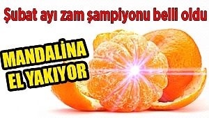 İzmir'de zam şampiyonu mandalina