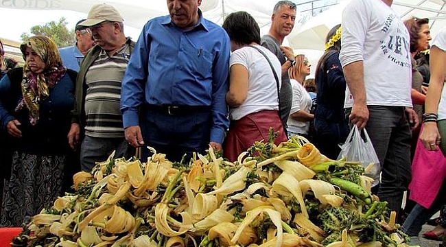 'Ot Festivali' öncesi otun A,B,C'si