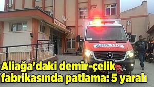 Aliağa'daki demir-çelik fabrikasında patlama: 5 yaralı 