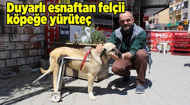 Duyarlı esnaftan felçli köpeğe yürüteç 