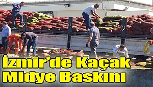 İzmir'de kaçak midye operasyonu!