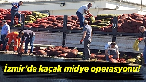 İzmir'de kaçak midye operasyonu!