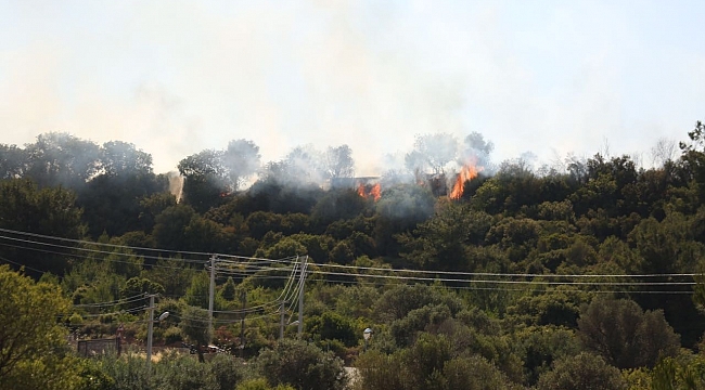 İzmir'de korkutan yangın