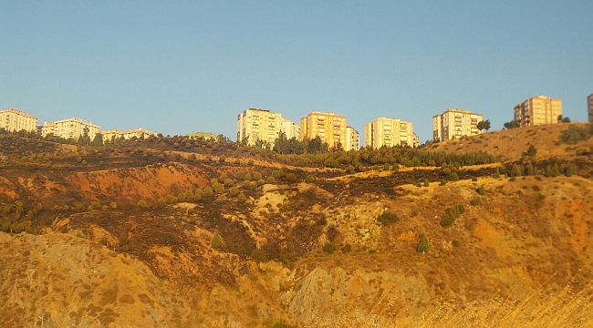 İzmir'deki makilik yangını kontrol altına alındı