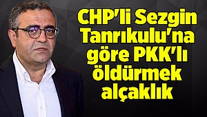 CHP'li Sezgin Tanrıkulu'na göre PKK'lı öldürmek alçaklık