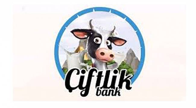 Çiftlik Bank'ın yazılımcısı tutuklandı