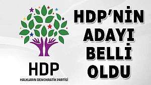 HDP'nin cumhurbaşkanı adayı