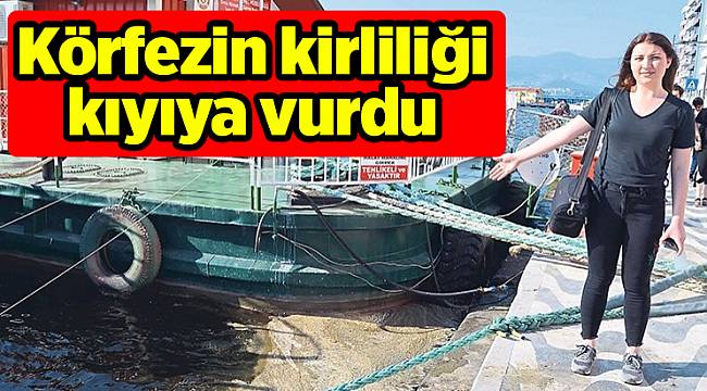 Körfezin kirliliği kıyıya vurdu