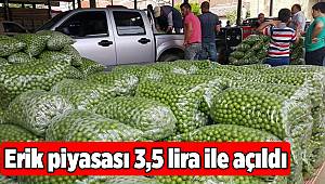 Erik piyasası 3,5 lira ile açıldı