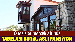 Butik tabelalı pansiyonlar mercek altında