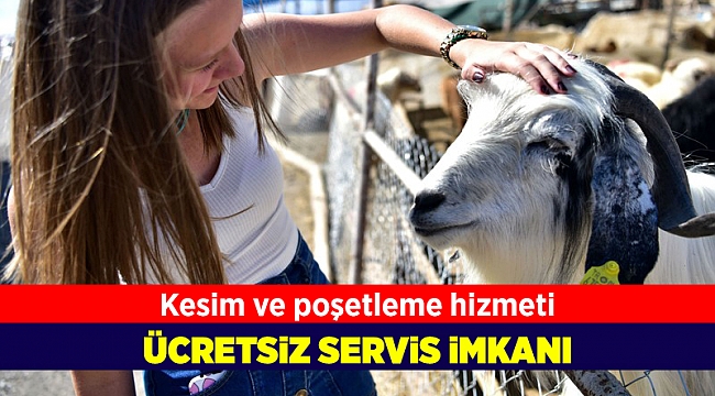 Bornova Belediyesi'nden modern ve hijyenik koşullarda kurban hizmeti