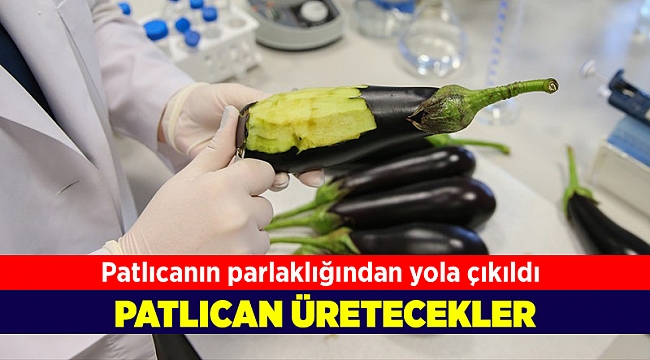 Deri hastalıklarına 'patlıcanlı' çözüm