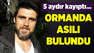 5 aydır kayıp olan kişinin ormanda ağaca asılı cesedi bulundu