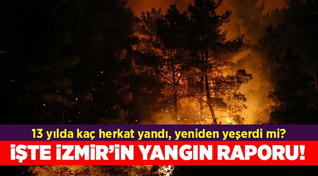 İşte İzmir'in 13 yıllık yangın raporu