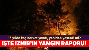 İşte İzmir'in 13 yıllık yangın raporu