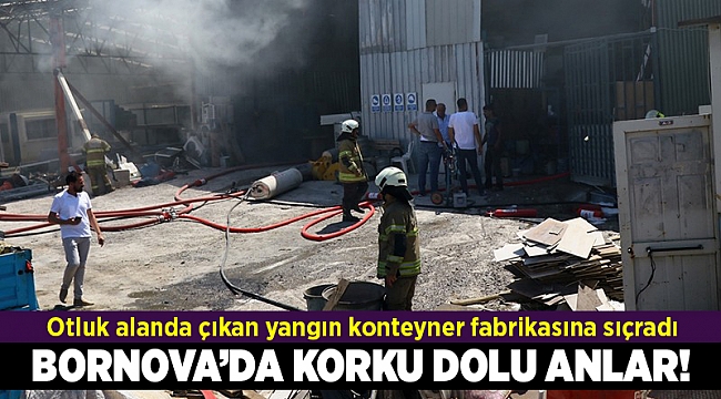 İzmir'de otluk alanda çıkan yangın konteyner fabrikasına sıçradı