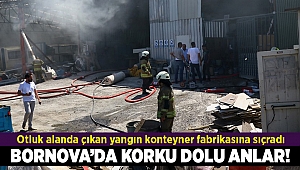 İzmir'de otluk alanda çıkan yangın konteyner fabrikasına sıçradı