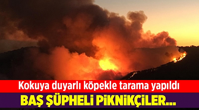 Karabağlar yangınında, en büyük şüpheli piknikçiler