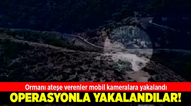 Ormanı ateşe verenler mobil kameralara yakalandı