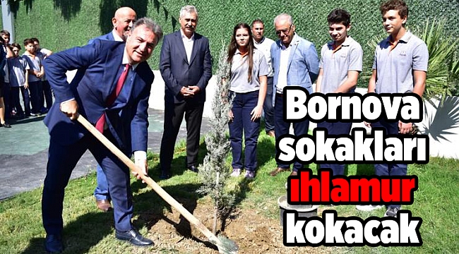 Bornova sokakları ıhlamur kokacak