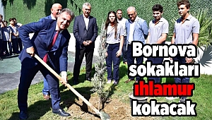 Bornova sokakları ıhlamur kokacak