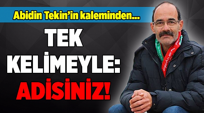 Abidin Tekin'in kaleminden...