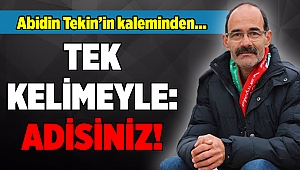 Abidin Tekin'in kaleminden...