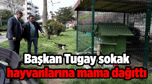 Başkan Tugay sokak hayvanlarına mama dağıttı 