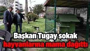 Başkan Tugay sokak hayvanlarına mama dağıttı 